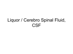 Liquor / Cerebro Spinal Fluid, CSF