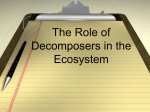 decomposer Powerpoint