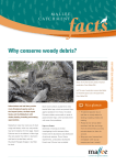 Why conserve woody debris?