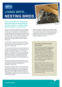 Living with nesting birds