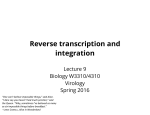 Reverse transcription and integration