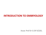 INTRODUCTION TO EMBRYOLOGY