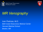 5/19/08 IPedrosa - CMR Venography
