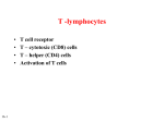 Figure 16.20 Activation of T cells