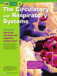 The Circulatory and Respiratory Systems