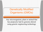 Genetically Modified Organisms (GMOs)