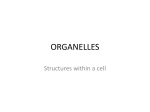 organelles - La Paz Wiki