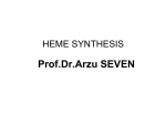 HEM SYNTHESİS