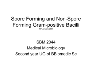 Spore Forming and Non-Spore Forming Gram