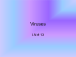 LN #12 Viruses