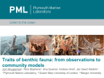 Traits of benthic fauna: from observations to community models