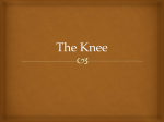 The Knee