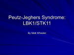 Peutz-Jeghers Syndrome: LBK1/STK11