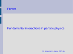 Forces Fundamental interactions in particle physics