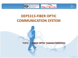 Light Propagation in a Fiber Optic Cable : Index Profiles