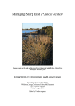 Proceedings of the Managing Sharp Rush (Juncus acutus)