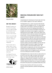 ringtail possum nest box fact sheet