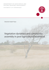 Vegetation dynamics and community assembly in post