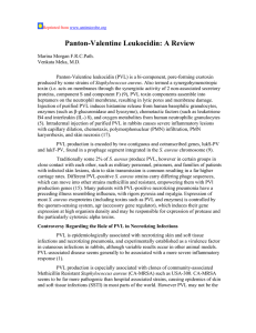 Panton-Valentine Leukocidin: A Review