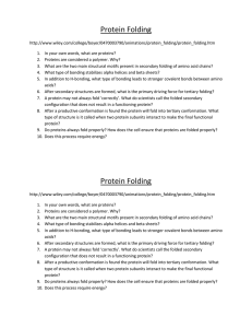 Protein Folding File