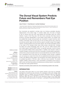 The Dorsal Visual System Predicts Future and Remembers Past Eye