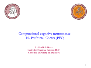 Computational cognitive neuroscience: 10. Prefrontal Cortex (PFC)