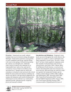 Vernal Pool - Michigan Natural Features Inventory
