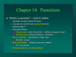 Chapter 12. Parasitism