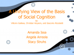 A unifying view of the basis of social cognition