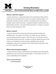 Urinary Diversion: Ileovesicostomy/Ileal Loop
