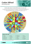 Codon Wheel - Your Genome