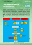 Complement system