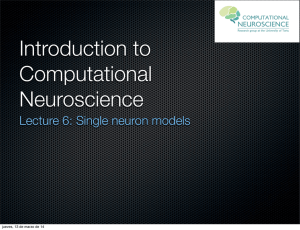 Lecture 6: Single neuron models