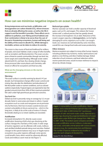 How can we minimise negative impacts on ocean health?