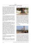 Article Lumbini: The Birth Place of Gautama Buddha