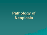 Neoplasia