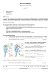 BASICS OF NEUROBIOLOGY Zsolt Liposits and Imre Kalló 2016