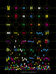 Chromosomal Chaos and Cancer