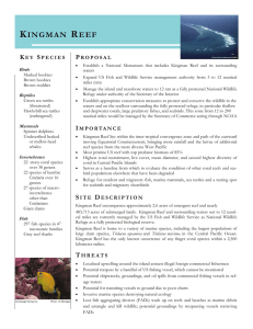 Kingman Reef - Marine Conservation Biology Institute