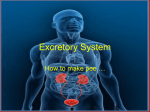 Excretory
