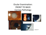 LECTURE 4 CORNEAL PATHOLOGY