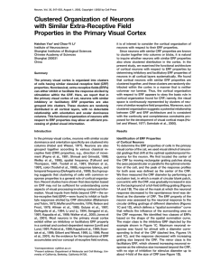 Clustered Organization of Neurons with Similar Extra