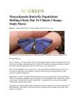 Massachusetts Butterfly Populations` Shifting Likely Due To Climate