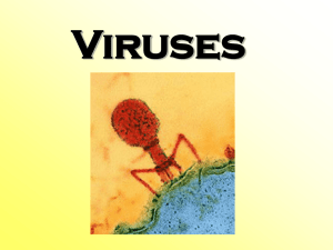 Characteristics of Viruses