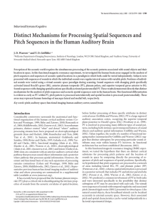 Distinct Mechanisms for Processing Spatial Sequences and Pitch