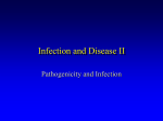 Infection and Disease II