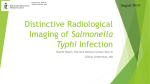 Radiological Imaging of Salmonella Typhi Infection