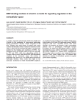 BMP binding domains in the extracellular space