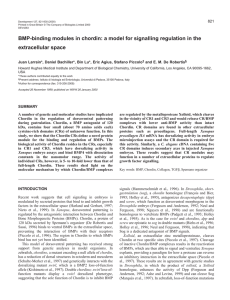 BMP binding domains in the extracellular space