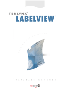 LABELVIEW 10 Database Manager Guide